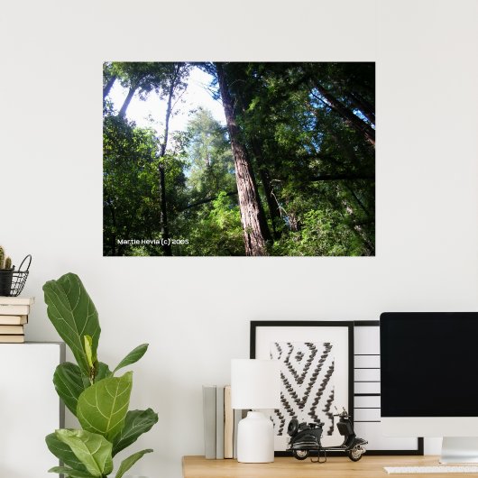 Santa Cruz Redwoods Poster (Thuiskantoor)