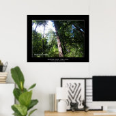 "Santa Cruz Redwoods" Poster (Thuiskantoor)