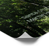 Santa Cruz Redwoods Print - Selecteer uw Lijst (Hoek)