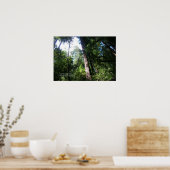 Santa Cruz Redwoods Print - Selecteer uw Lijst (Keuken)