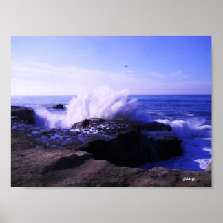 Santa Cruz Seashore Poster