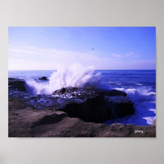 Santa Cruz Seashore Poster (Voorkant)