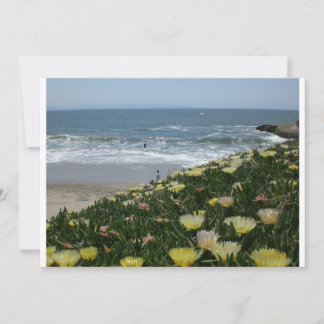 Santa Cruz-stranden