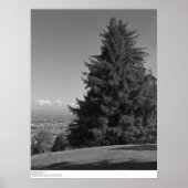 Santa Cruz uit Campus, april 1967 Poster (Voorkant)