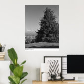 Santa Cruz uit Campus, april 1967 Poster (Thuiskantoor)