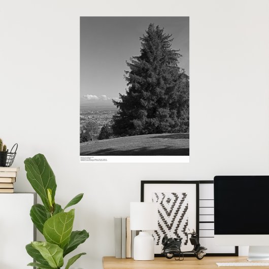 Santa Cruz uit Campus, april 1967 Poster (Thuiskantoor)