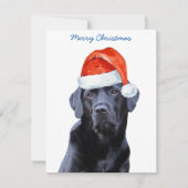 Santa Dog Black Labrador Retriever Feestdagenkaart (Voorkant)