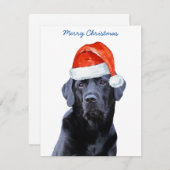 Santa Dog Black Labrador Retriever Feestdagenkaart (Voorkant / Achterkant)