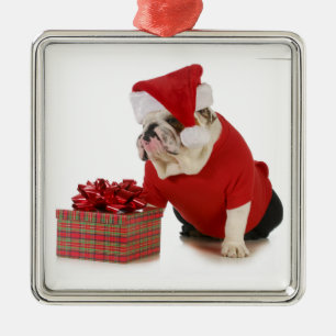 Santa Dog - Engelstalige bullehond gekleed als ker Metalen Ornament