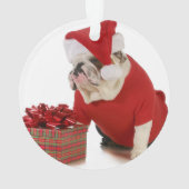 Santa Dog - Engelstalige bullehond gekleed als ker Ornament (achterkant)