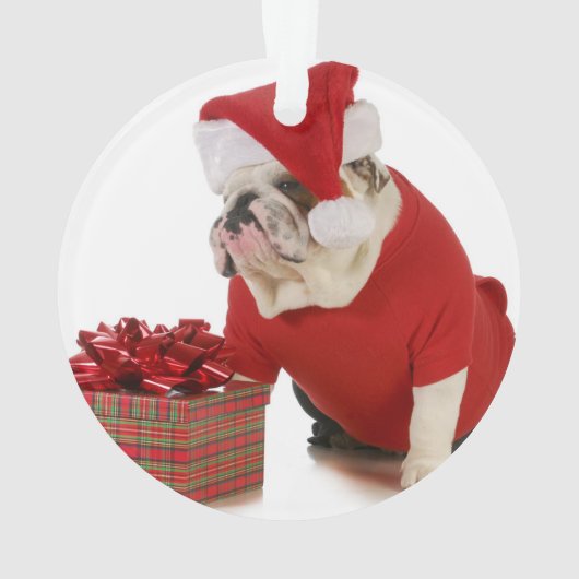 Santa Dog - Engelstalige bullehond gekleed als ker Ornament (achterkant)