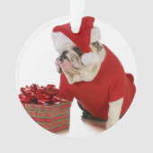 Santa Dog - Engelstalige bullehond gekleed als ker Ornament (voorkant)