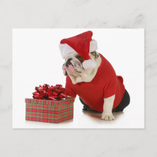 Santa Dog - English Bulldog Dressed Like Santa Feestdagenkaart