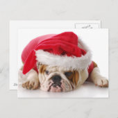 Santa Dog Feestdagenkaart (Voorkant / Achterkant)