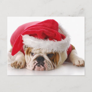 Santa Dog Feestdagenkaart