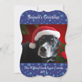 Santa Dog-Lab/Rott Mix met Pointsettia Achtergrond Feestdagenkaart