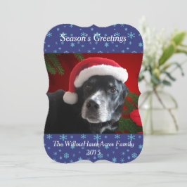 Santa Dog-Lab/Rott Mix met Pointsettia Achtergrond Feestdagenkaart