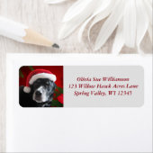 Santa Dog-Lab/Rott Mix met Pointsettia Etiket (Insitu)