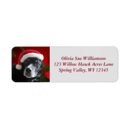 Santa Dog-Lab/Rott Mix met Pointsettia Etiket