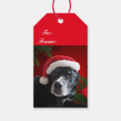 Santa Dog-Lab/Rottweiler met Vakantie Achtergrond Cadeaulabel (Voorkant)