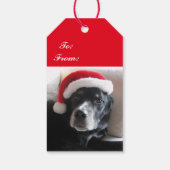 Santa Dog-Lab/Rottweiler met Vakantie Achtergrond Cadeaulabel (Achterkant)