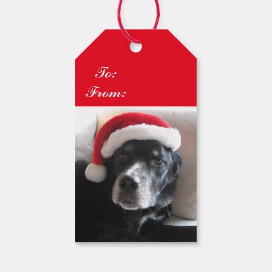 Santa Dog-Lab/Rottweiler met Vakantie Achtergrond Cadeaulabel (Achterkant)