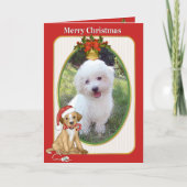 Santa Dog Pet Foto Groeten Feestdagen Kaart (Voorkant)