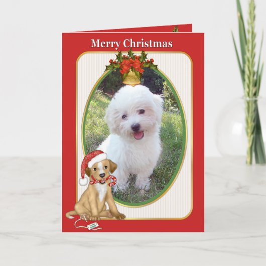 Santa Dog Pet Foto Groeten Feestdagen Kaart (Voorkant)