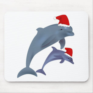 Santa dolphins muismat