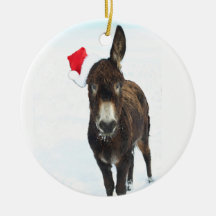 Santa Donkey
