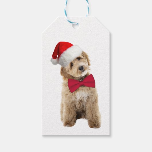 Santa Doodle Dog Cadeaulabel (Voorkant)