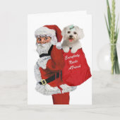 Santa draagt Maltezer in zijn zak met geschenken Feestdagen Kaart (Voorkant)