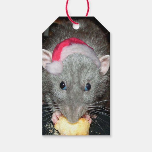 Santa Dumbo rat cadeau labels (verpakking van 10) Cadeaulabel (Voorkant)