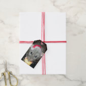 Santa Dumbo rat cadeau labels (verpakking van 10) Cadeaulabel (Met Touw)