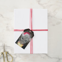 Santa Dumbo rat cadeau labels (verpakking van 10)