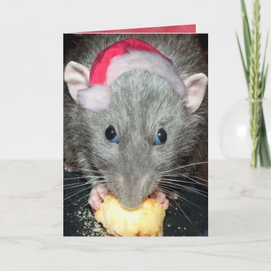 Santa Dumbo rat kaart (Voorkant)