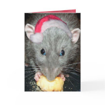 Santa Dumbo rat kaart