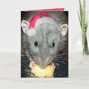 Santa Dumbo rat kaart