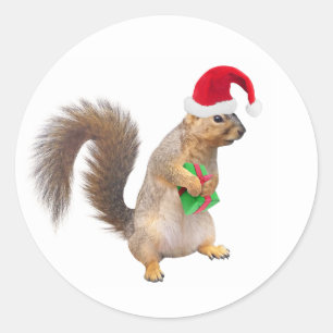 Santa Eekhoorn met Groene Gift Stickers