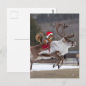 Santa Eekhoorn Rijden op een Rendier Briefkaart (Voorkant / Achterkant)