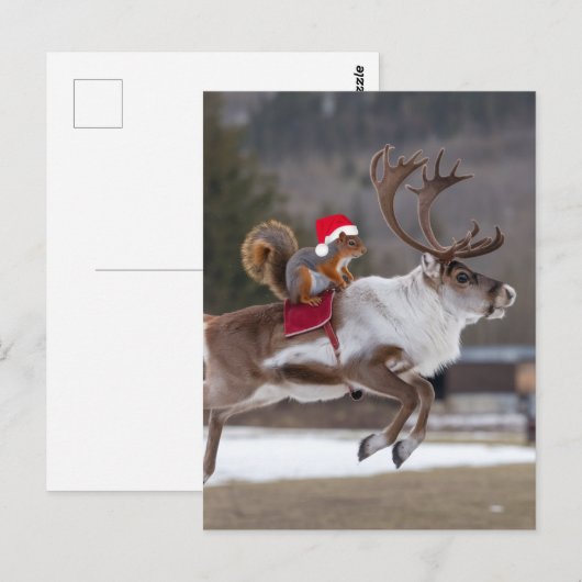 Santa Eekhoorn Rijden op een Rendier Briefkaart (Voorkant / Achterkant)