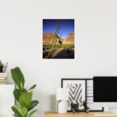 Santa Elena Canyon Poster (Thuiskantoor)