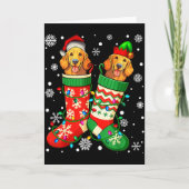 Santa Elf Golden Retriever Dog In Christmas Socks  Kaart (Voorkant)
