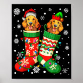 Santa Elf Golden Retriever Dog In Christmas Socks  Poster (Voorkant)