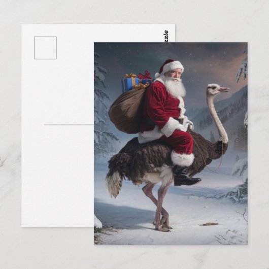 Santa en struisvogel briefkaart (Voorkant / Achterkant)