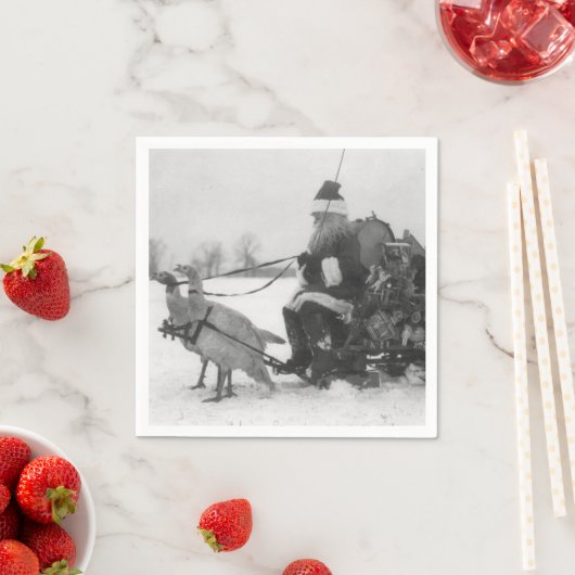 Santa en Zijne renrendiervis Servet (Insitu)