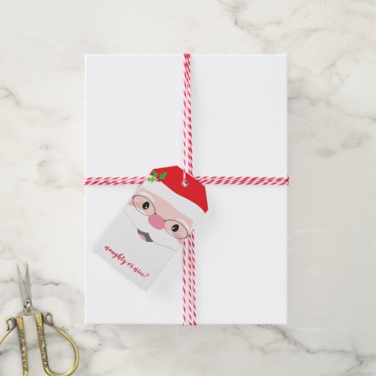 SANTA FACE hipster feestelijke kerst modern cadeau Cadeaulabel (Met Touw)