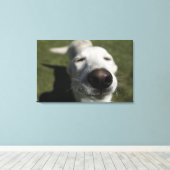 Santa Fe, New Mexico Canvas Afdruk (Insitu (Houten vloer))