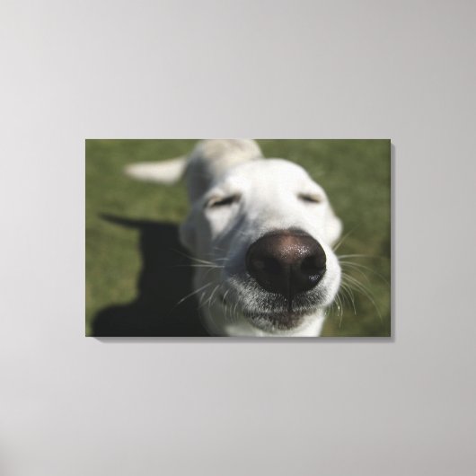 Santa Fe, New Mexico Canvas Afdruk (Voorkant)