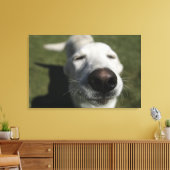 Santa Fe, New Mexico Canvas Afdruk (Insitu (Woonkamer))